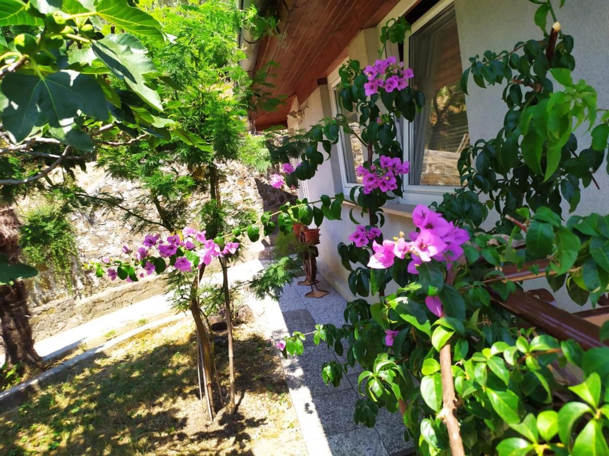 波尔托罗Lili House公寓 外观 照片